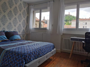 Chambre privée dans appart partagé avec vue sur les monuments